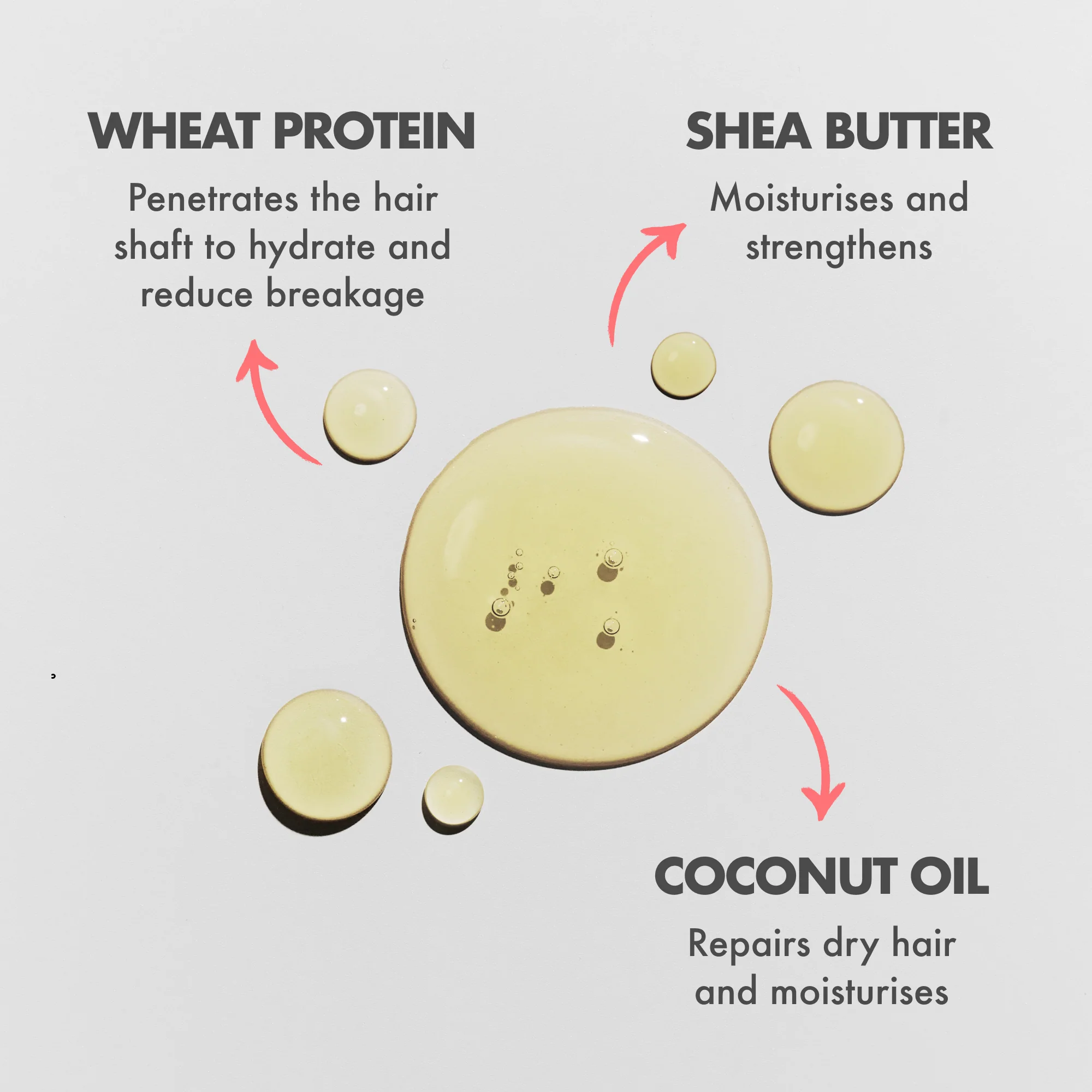 Rosemary Scalp and Hair Oil - Image 5